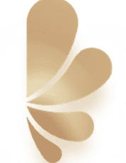 Alsayyed Design